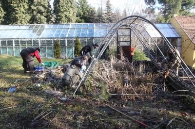 2020. február 7. - Önkéntesek tisztították a botanikus kertet