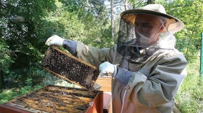 2022. május 25. - Méhek nélkül nincs élet